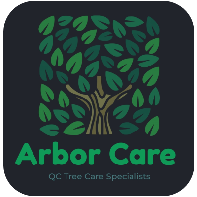 QC Arbor Care Logo Square